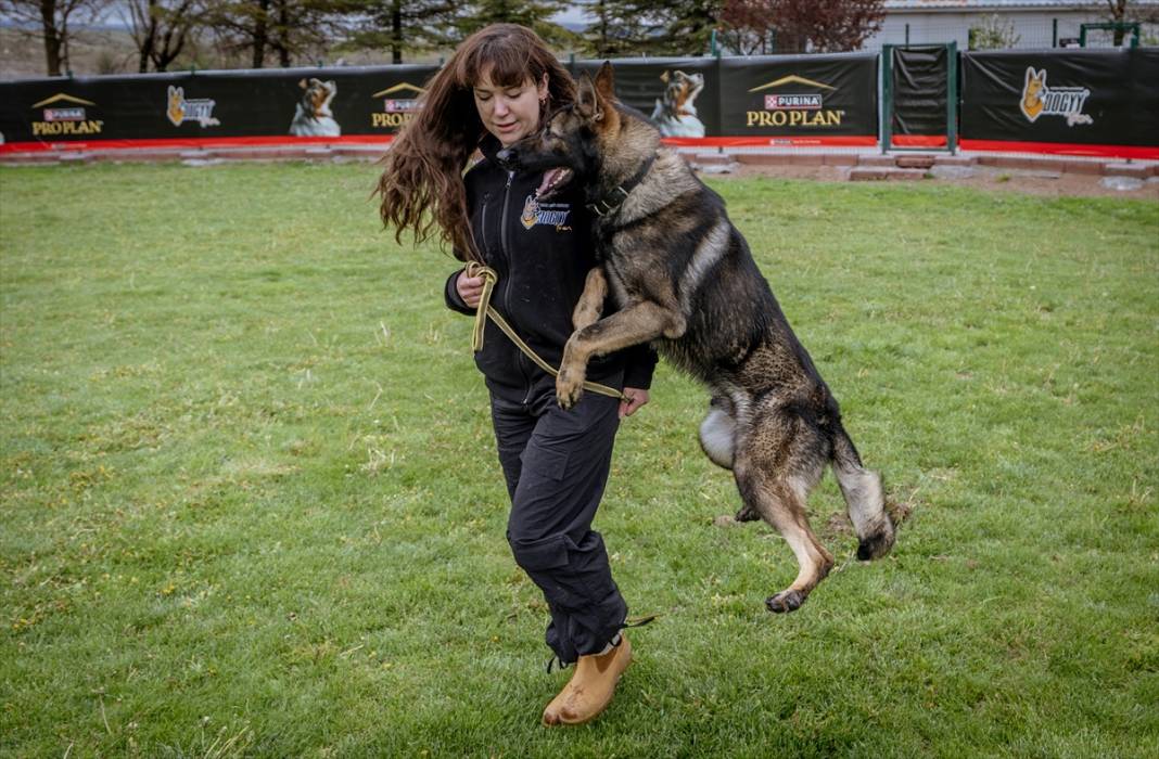 Özel eğitimli köpekler yeraltındaki su kaçaklarını tespit edecek 21